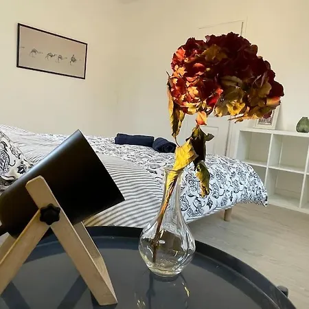 Maison 4 Ch. Avec Terrasse